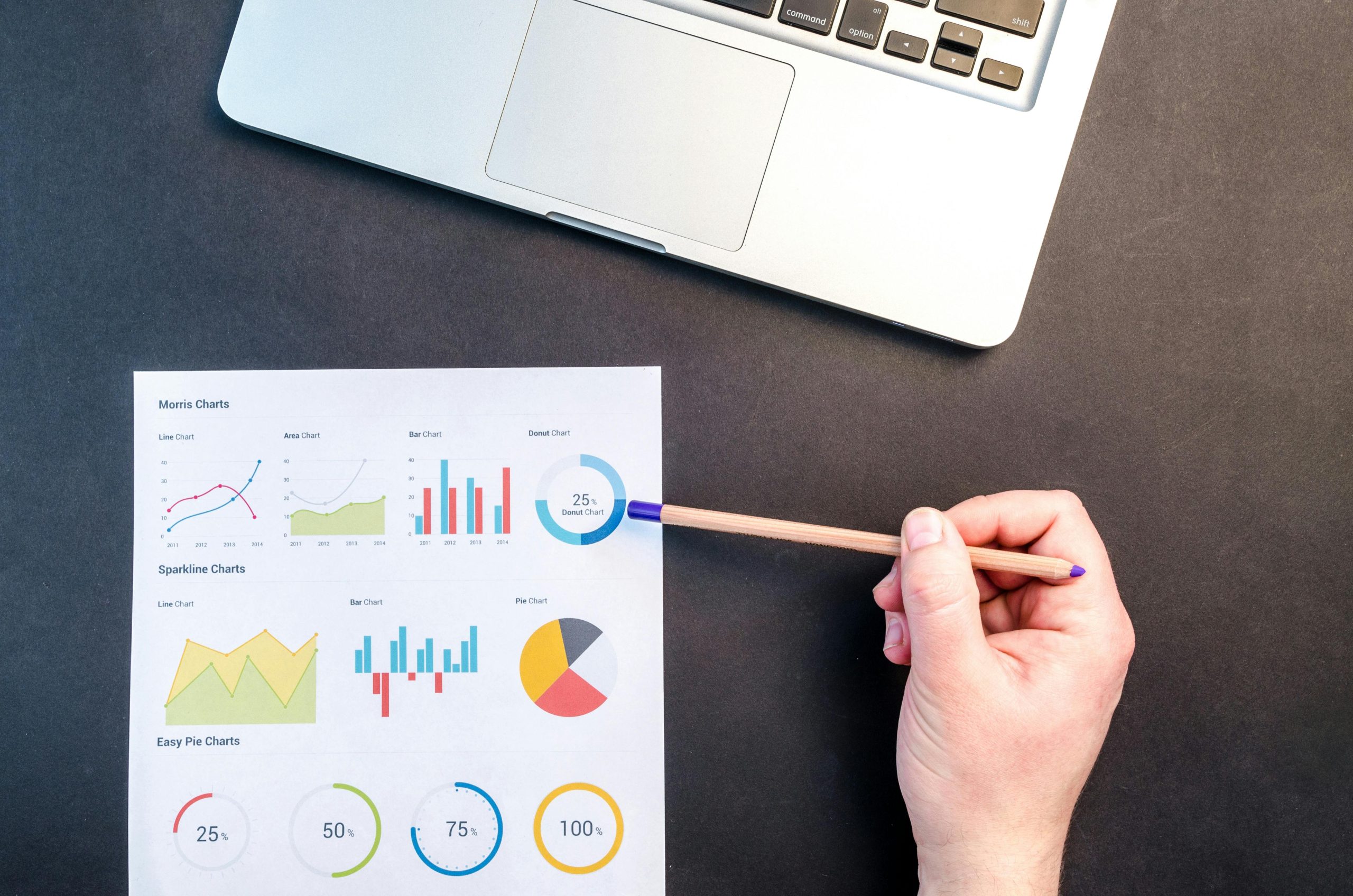 Data-analyse op een laptop